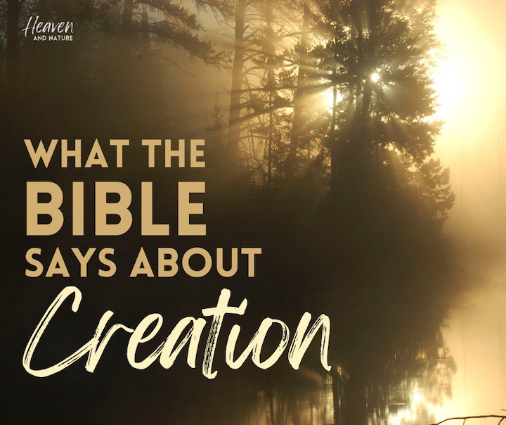 "What the Bible says about Creation" header; image of misty morning sun shining through trees