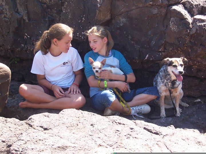 two young girls with two dogs sitting against a rock wall