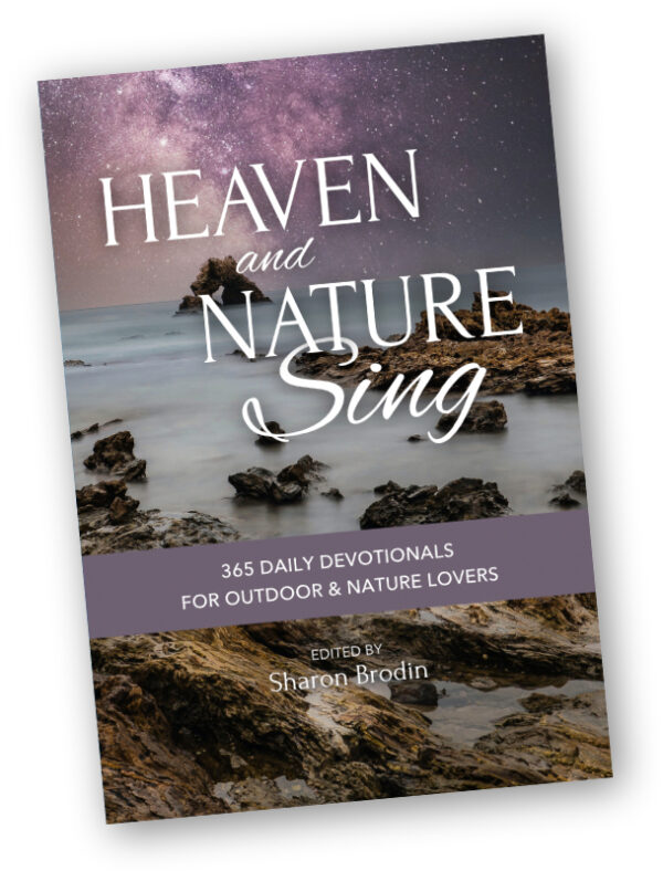 Heaven and Nature Sing book cover
