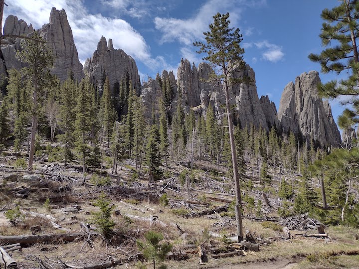 Cathedral Spires hiking trail in the Black Hills