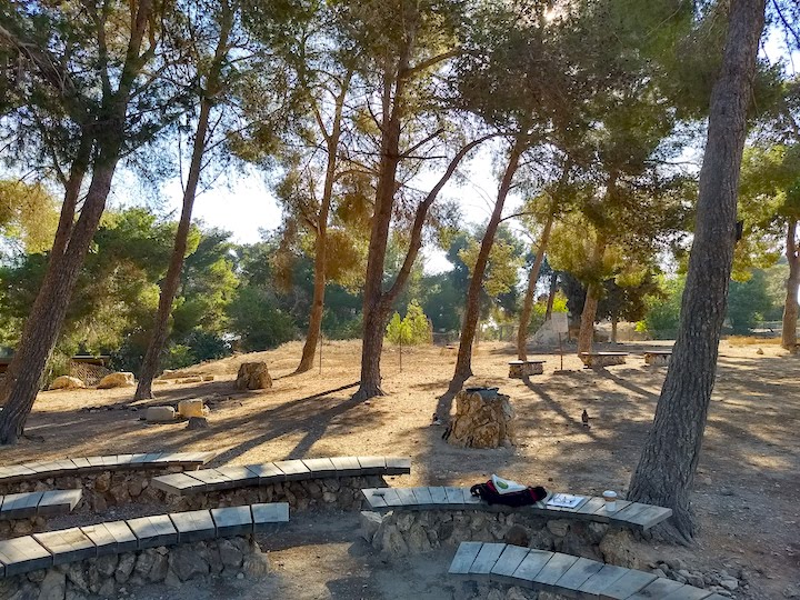 park benches and trees at a park