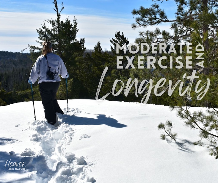 "Moderate exercise and Longevity" with image of woman snowshoeing in the woods