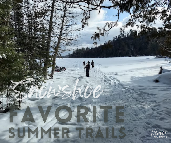 "snowshoe favorite summer trails" with image of four snowshoers on a frozen lake, coming out of the woods