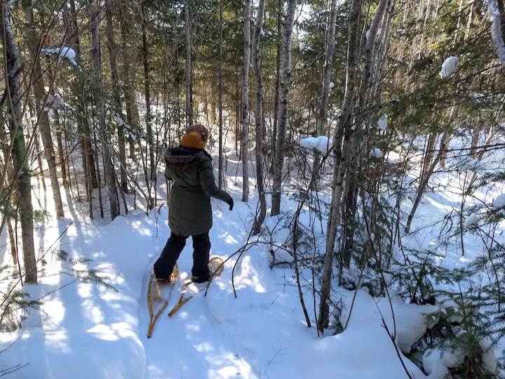 woman snowshoeing through the woods