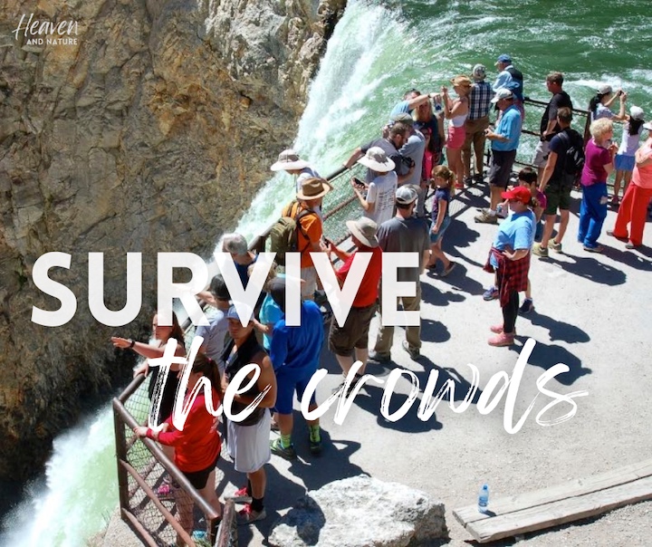 "survive the crowds" with image of dozens of people at the brink of a large waterfall