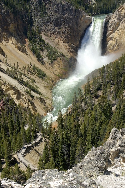 Lower Falls at Yellowstone Grand Canyon from Lookout Point