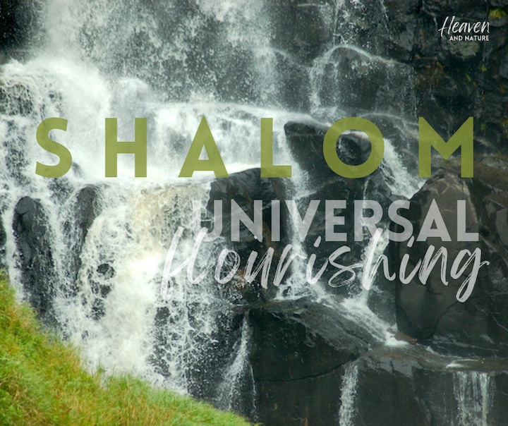"Shalom: universal flourishing" with image of waterfall