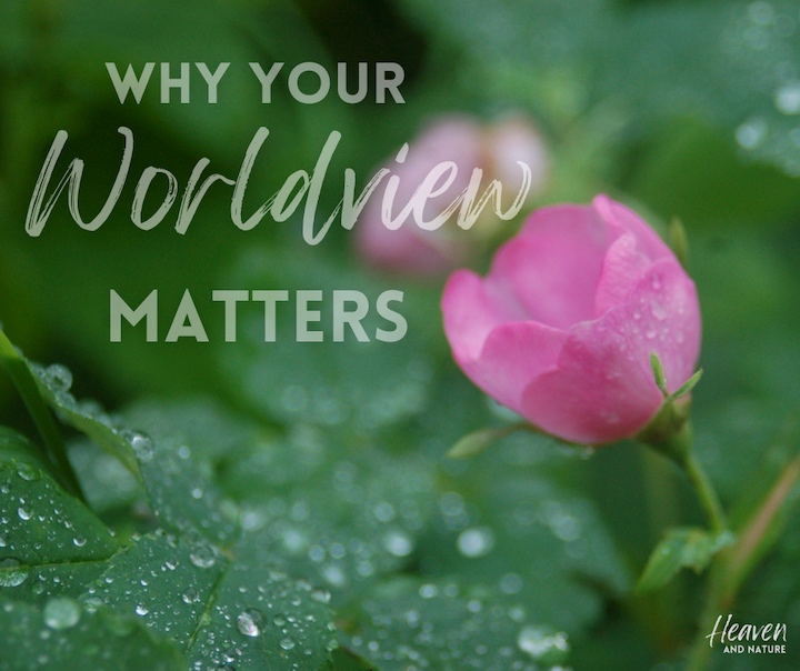 "Why your worldview matters" with image of rosebud in the rain