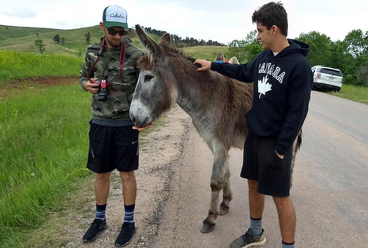 two young men with a burro Custer State Park