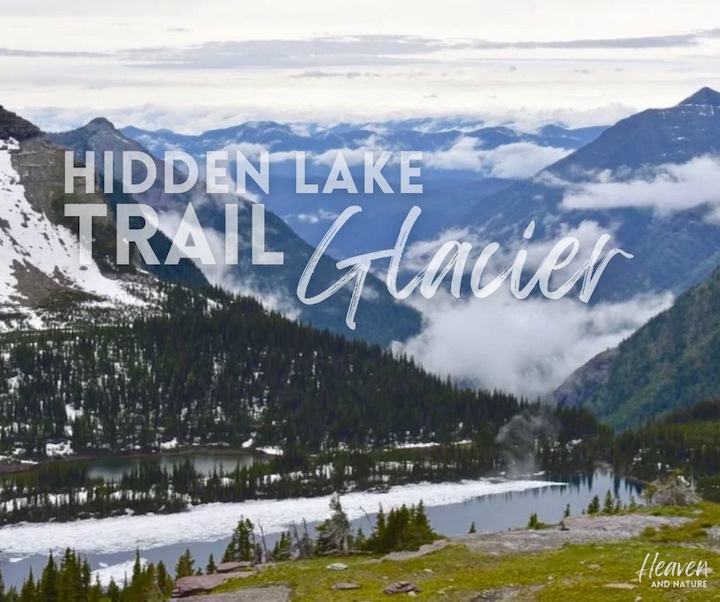 "Hidden Lake trail Glacier" with image of Hidden Lake and surrounding mountains