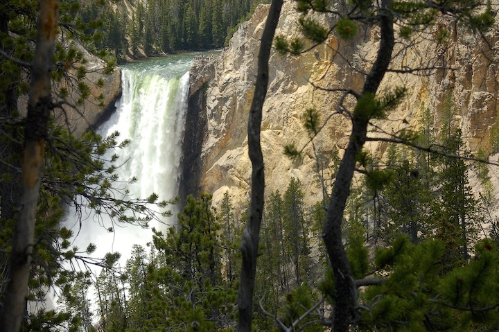 Lower Falls at Yellowstone