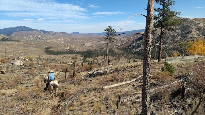 man riding a horse in the mountains