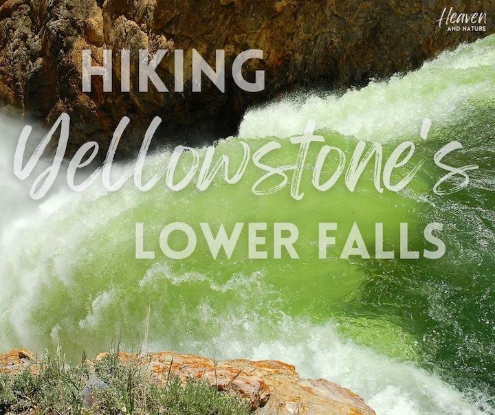 "hiking Yellowstone's lower falls" with image of the brink of the falls