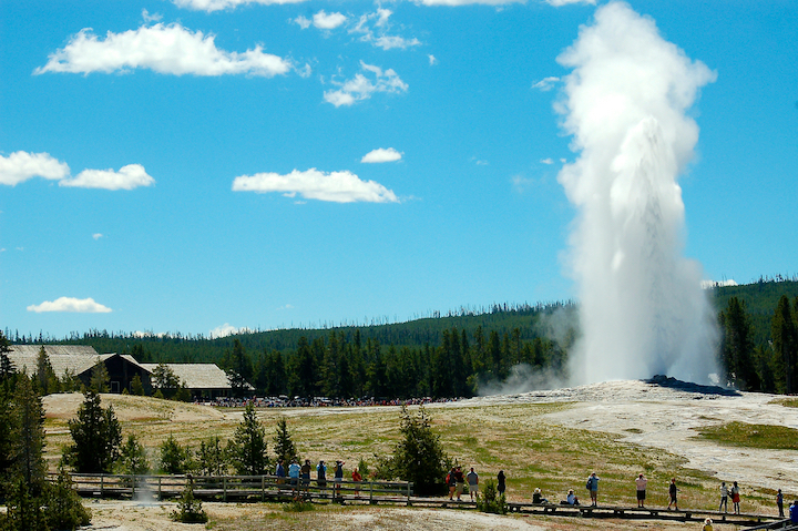 Old Faithful geyser at Yellowstone National Park