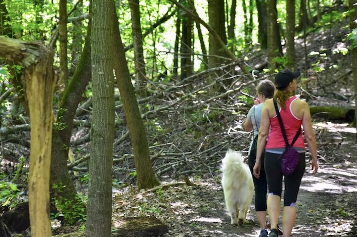 hiking afton state park