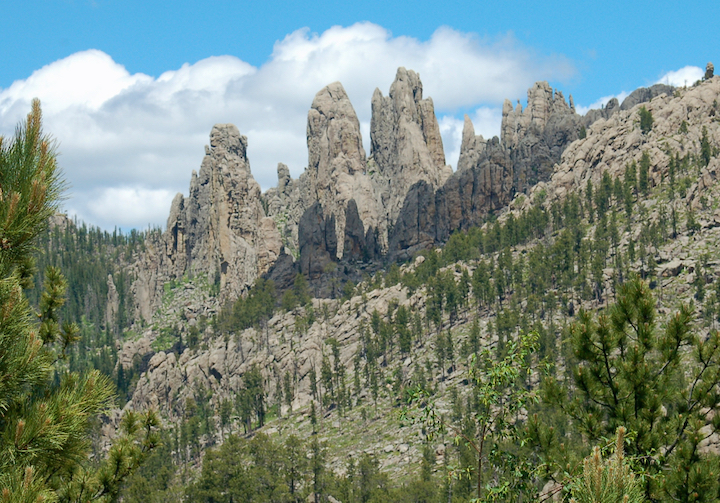 Scenery in the Black Hills