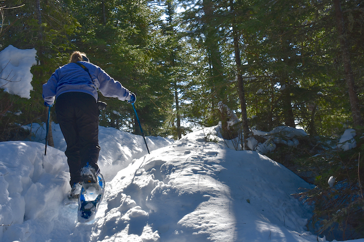 woman snowshoeing up a hill in the woods in deep snow