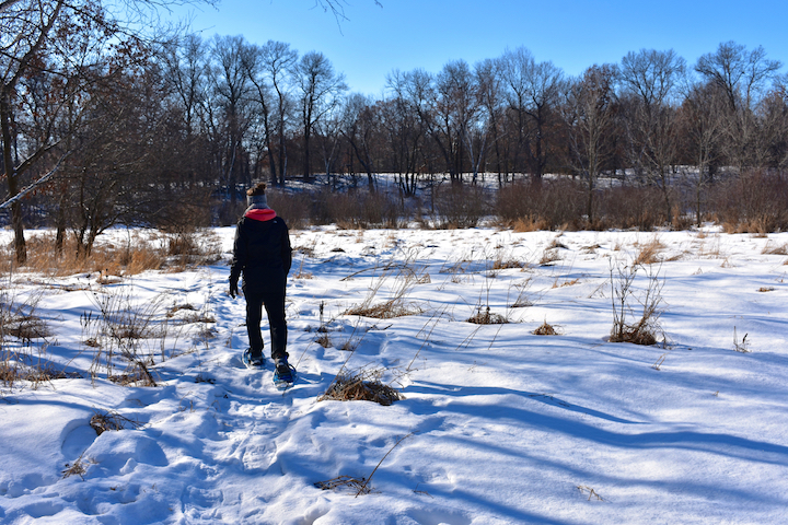 person snowshoeing across a frozen marsh