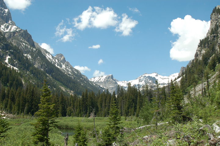 Cascade Canyon valley, Tetons