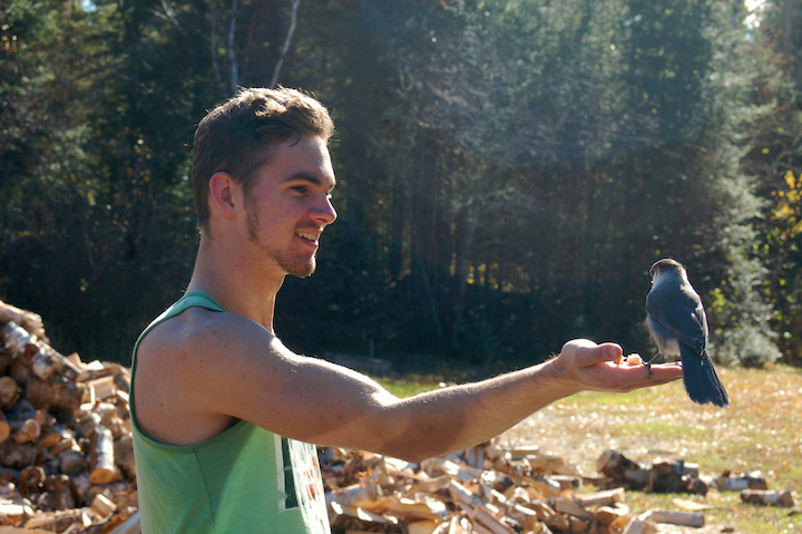 teen boy with Canada jay on his hand