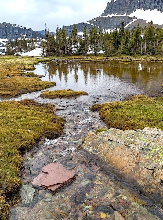 a mountain creek at Logan Pass, Glacier