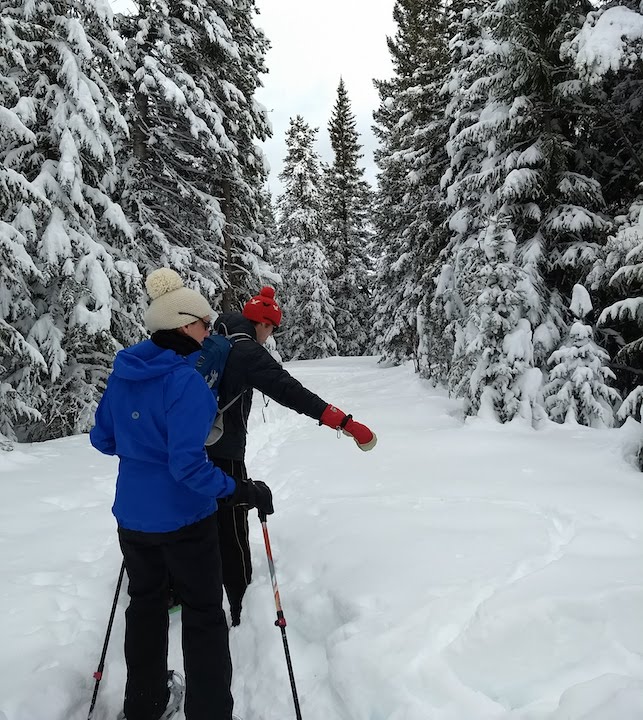 a guide points out animal tracks in the snow along the snowshoe trail to a member of the group. Tall snow-covered pines in the background.