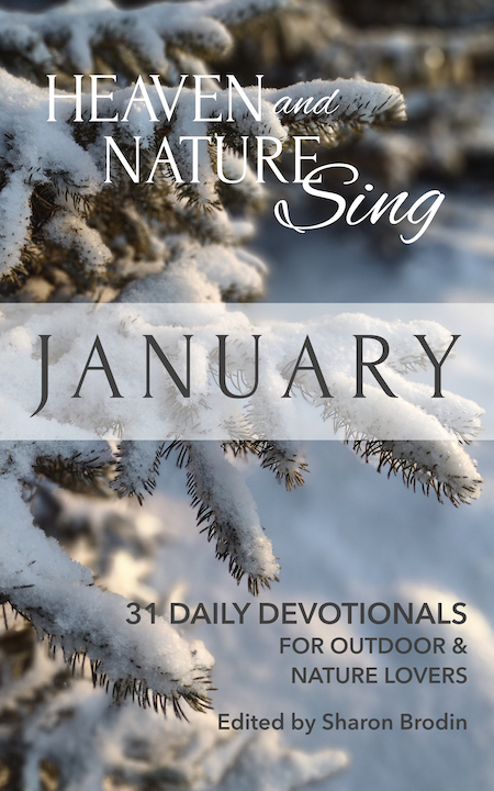 Heaven and Nature Sing: January cover