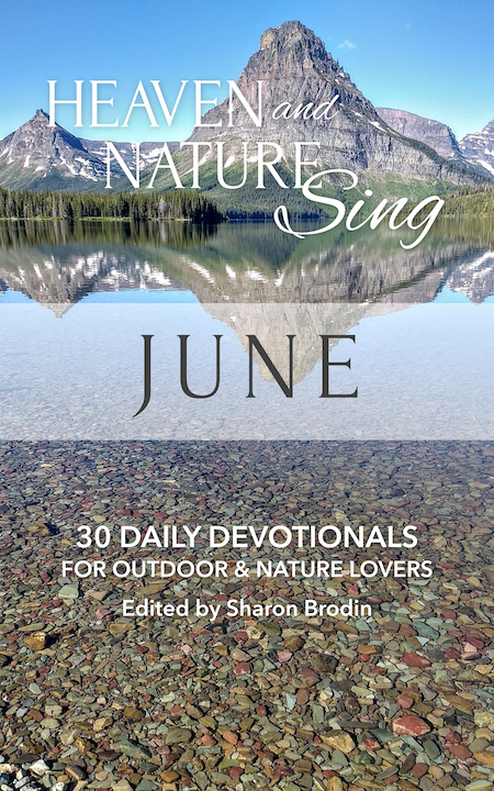"Heaven and Nature Sing: June" cover