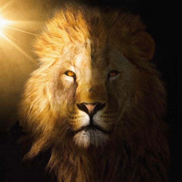 painted photo of a lion's face bathed in light