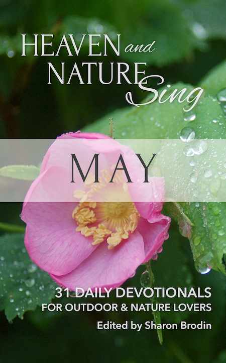 "Heaven and Nature Sing: May" cover