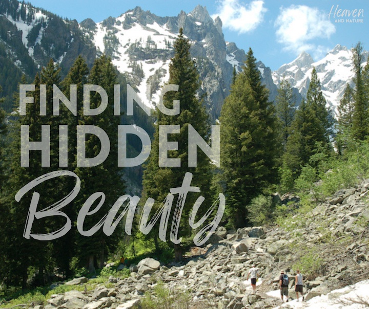 "Finding Hidden Beauty" with image of three people hiking in the mountains