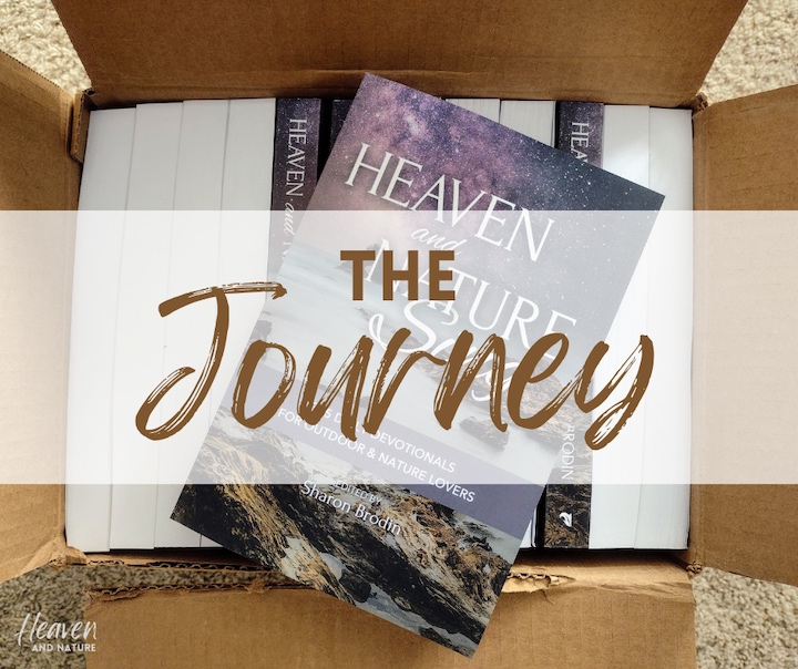 "The Journey" over a box of books