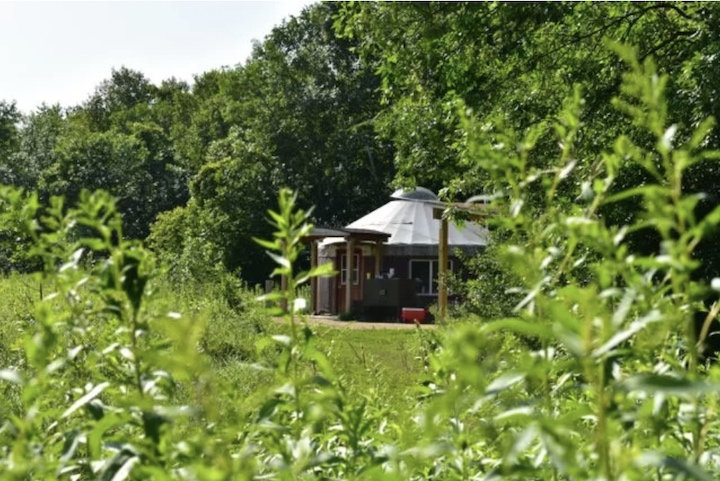 rentable yurt surrounded by trees