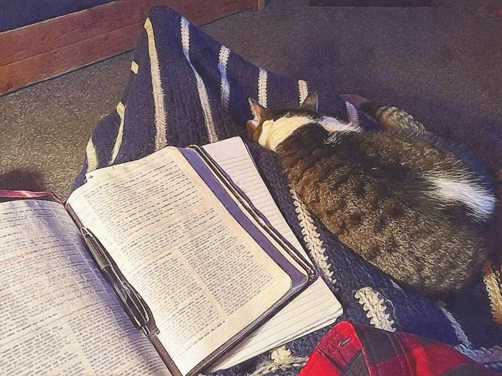 open bible with pen, notebook and cat curled up alongside