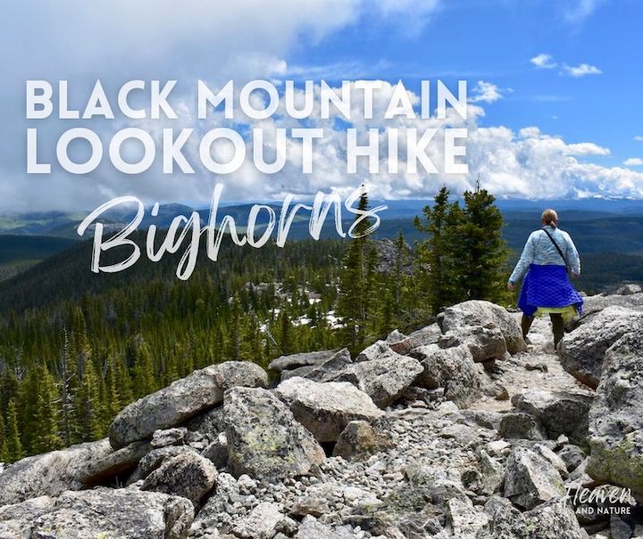 "Black Mountain Lookout Hike" with image of woman on a mountaintop overlooking forest and more mountains