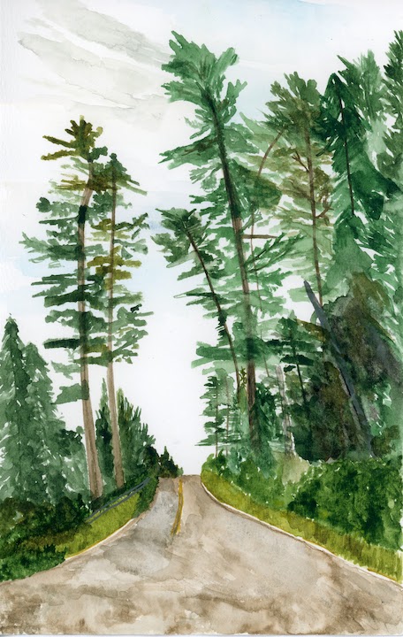 painting of tall pines along a road