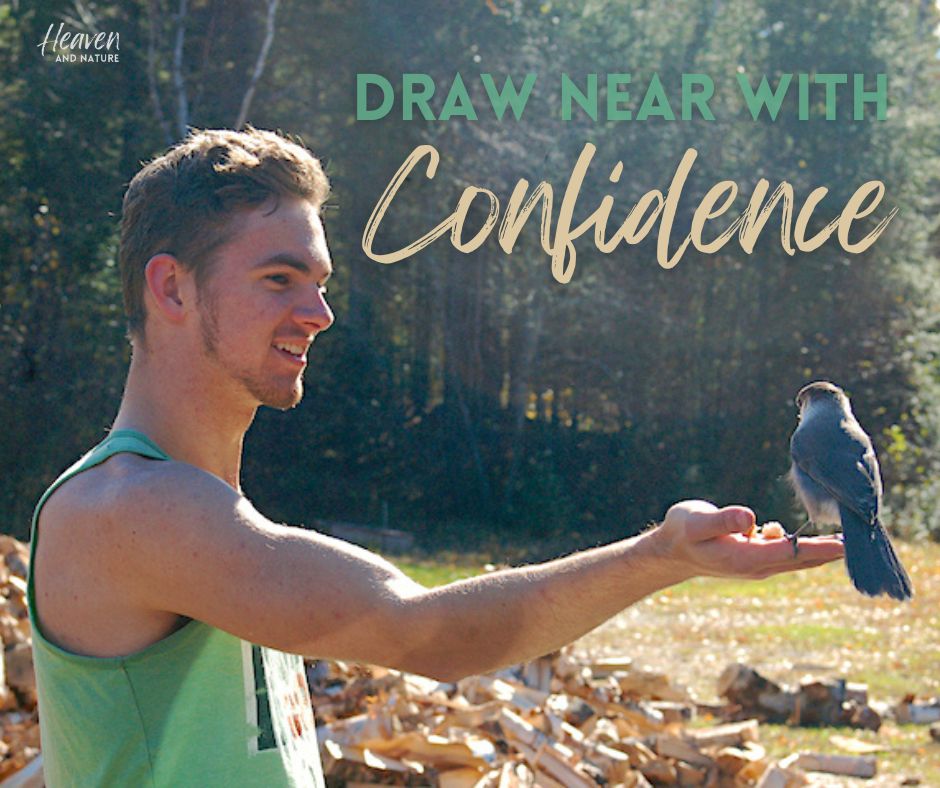 "Draw near with confidence" with image of a young man feeding a Canada jay out of his hand