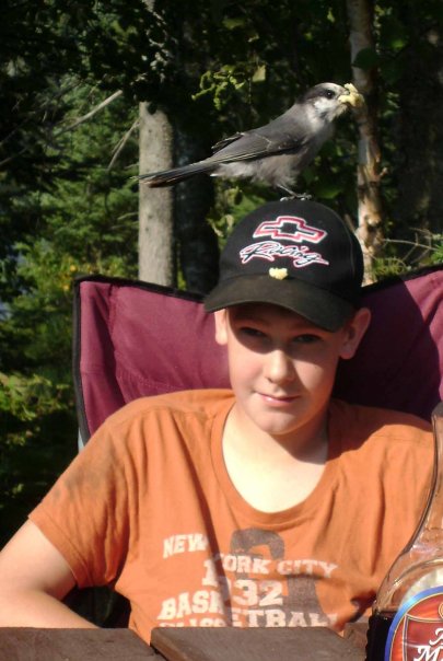 boy sits in a chair, Canada jay on his hat
