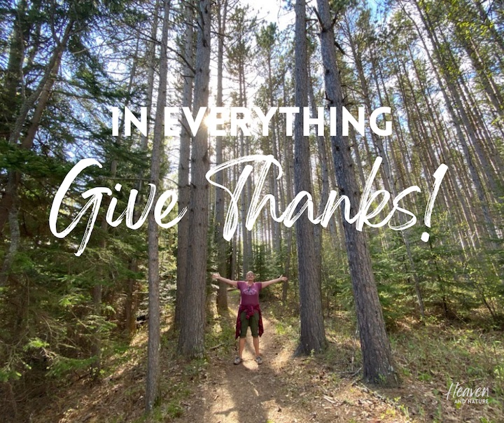 "In Everything give thanks!" with image of a woman standing among tall pines, sun shining