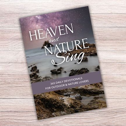 Heaven and Nature Sing book cover on wood background