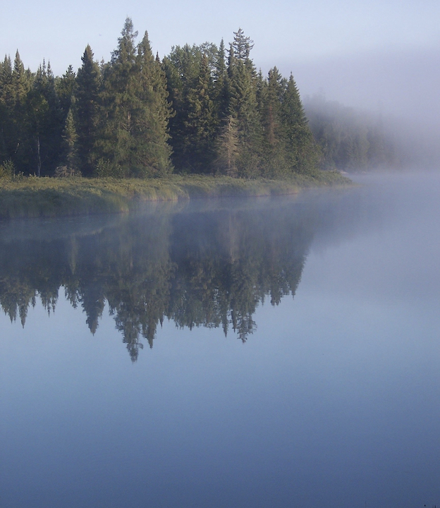 A super calm lake with pine trees reflected in the water, mist in the trees
