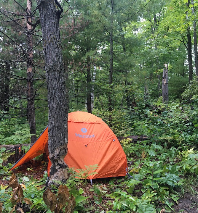 orange tent in the green woods