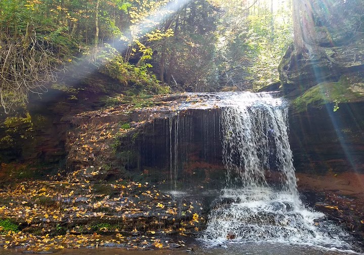 waterfall in a hidden wooded glade