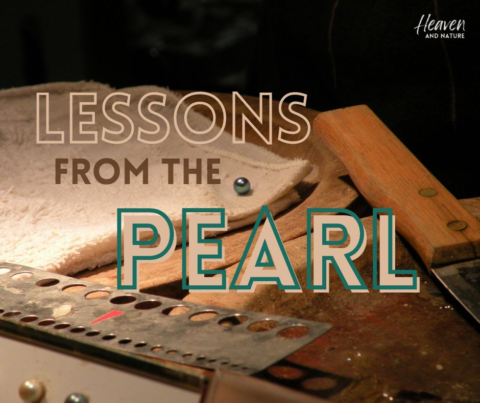 "Lessons from the Pearl" with image of single green pearl on a white towel surrounded by tools