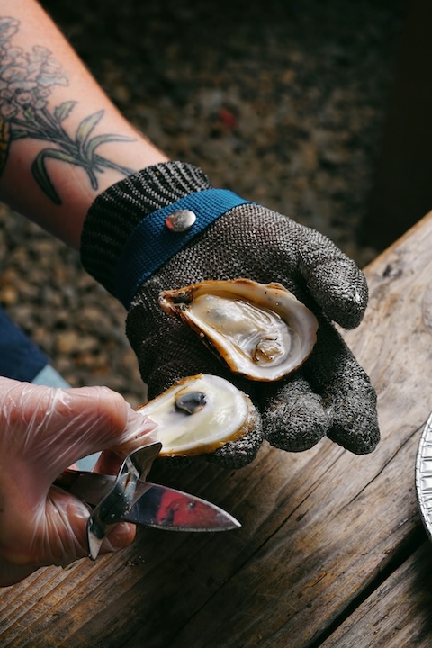 hands just opened an oyster to reveal a pearl