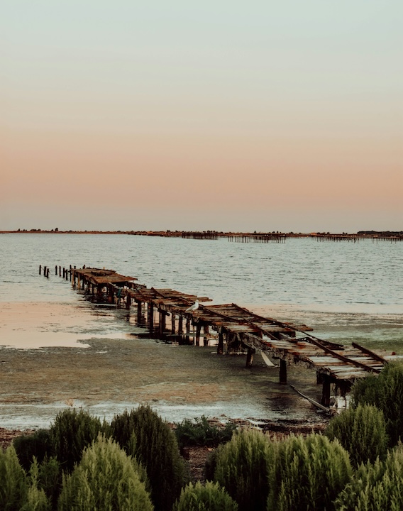 oyster farming pier