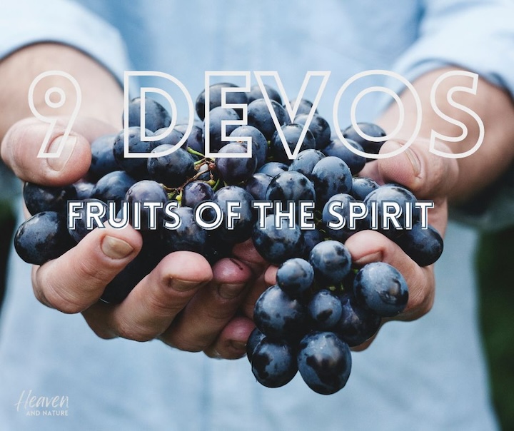 image of hands holding a bunch of grapes with "9 Devos" and "Fruits of the Spirit"