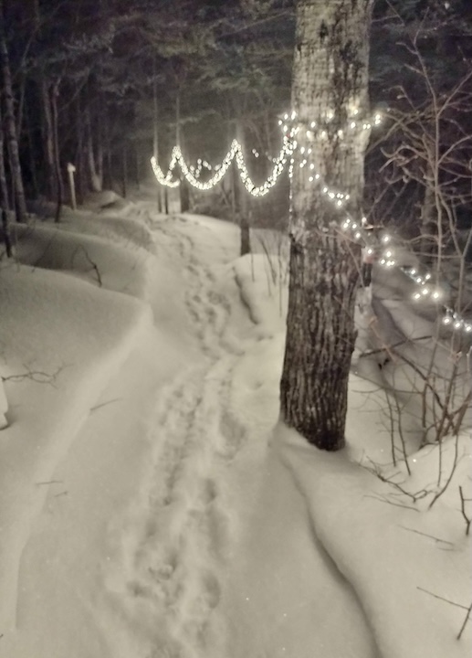 a string of lights illuminates a wooden trail through the snow