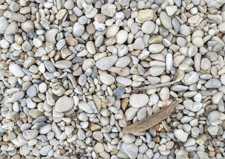 white and gray pebbles along with a couple small pieces of driftwood