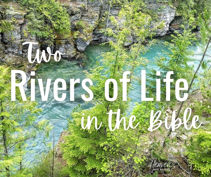 "Two Rivers of Life in the Bible" with image of a clear, green mountain river surrounded by trees